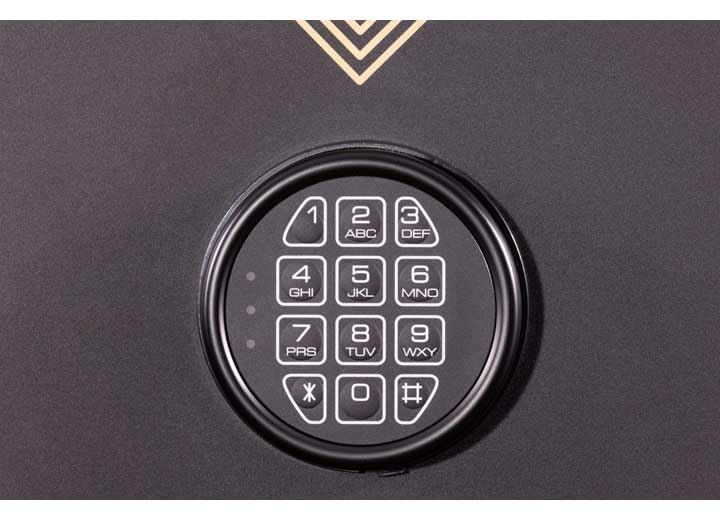 Surelock Security Home & Gun Safe
