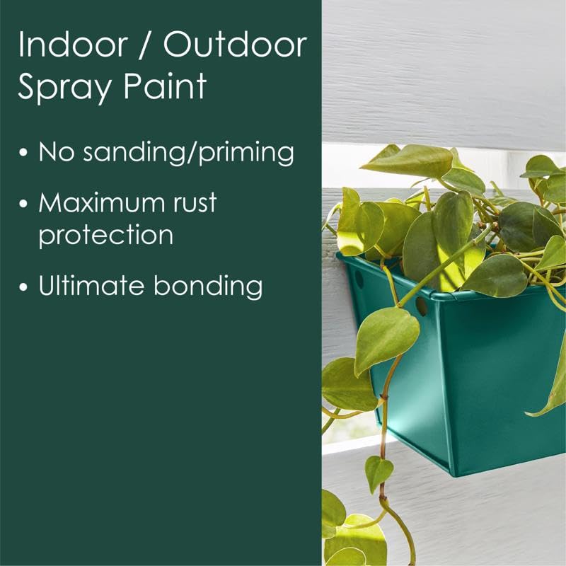 Krylon All-In-One Fusion Gloss Hunter Green Paint + Primer Spray Paint 12 Oz. - Case of: 6