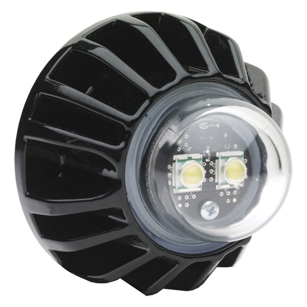 12/24V LED Engine Lamp