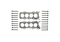 2015 Ford Racing 5.0L Coyote Head Changing Kit 11mm Head Bolts