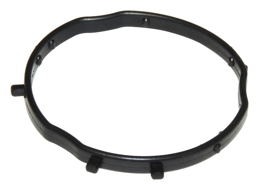 Camshaft Crown - Actuator Phaser Seal (4893806AB)