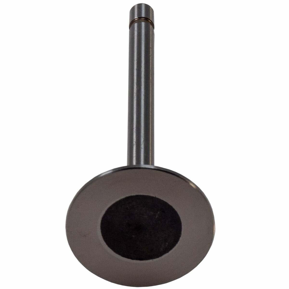 V1001 Melling Intake Valve
