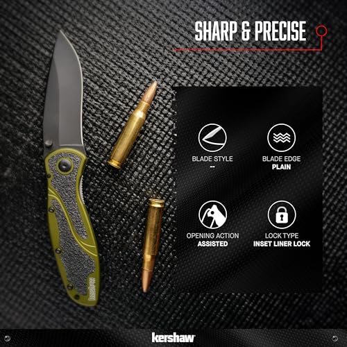 Kershaw Pocket Knife Blur, Olive and Black, 3.4 Inch Steel Recurve Plain Edge Blade, EDC with Assisted Opening, USA Made, Reversible Pocketclip, Everyday Carry Pocket Knife for Men and Women