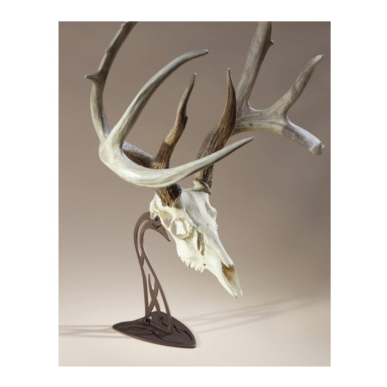 Skull Hooker European Trophy Mount Table Hooker – Perfect Kit for Table Display of Taxidermy Deer Antlers and other Skulls – Robust Brown