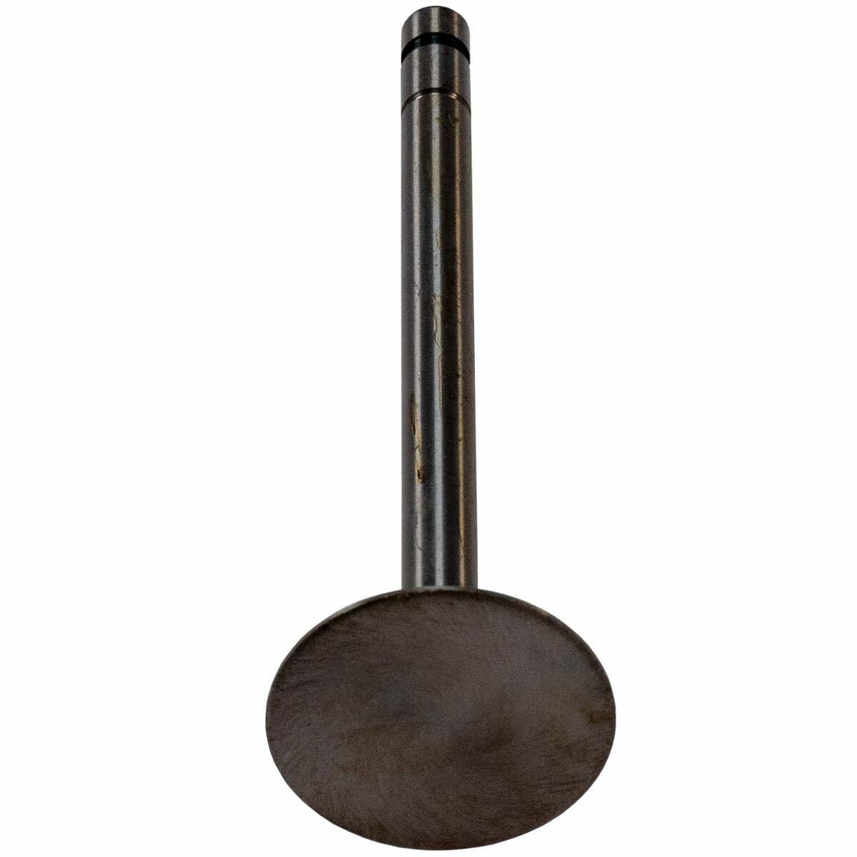 V0192 Melling Intake Valve