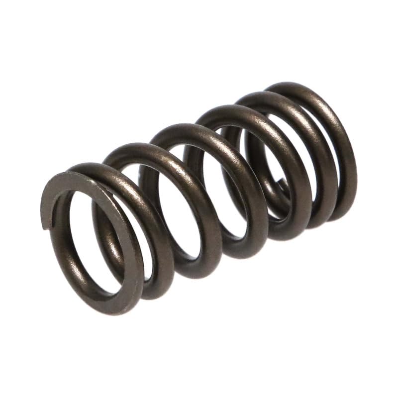 22170-24 Manley Valve Spring, 24 Piece