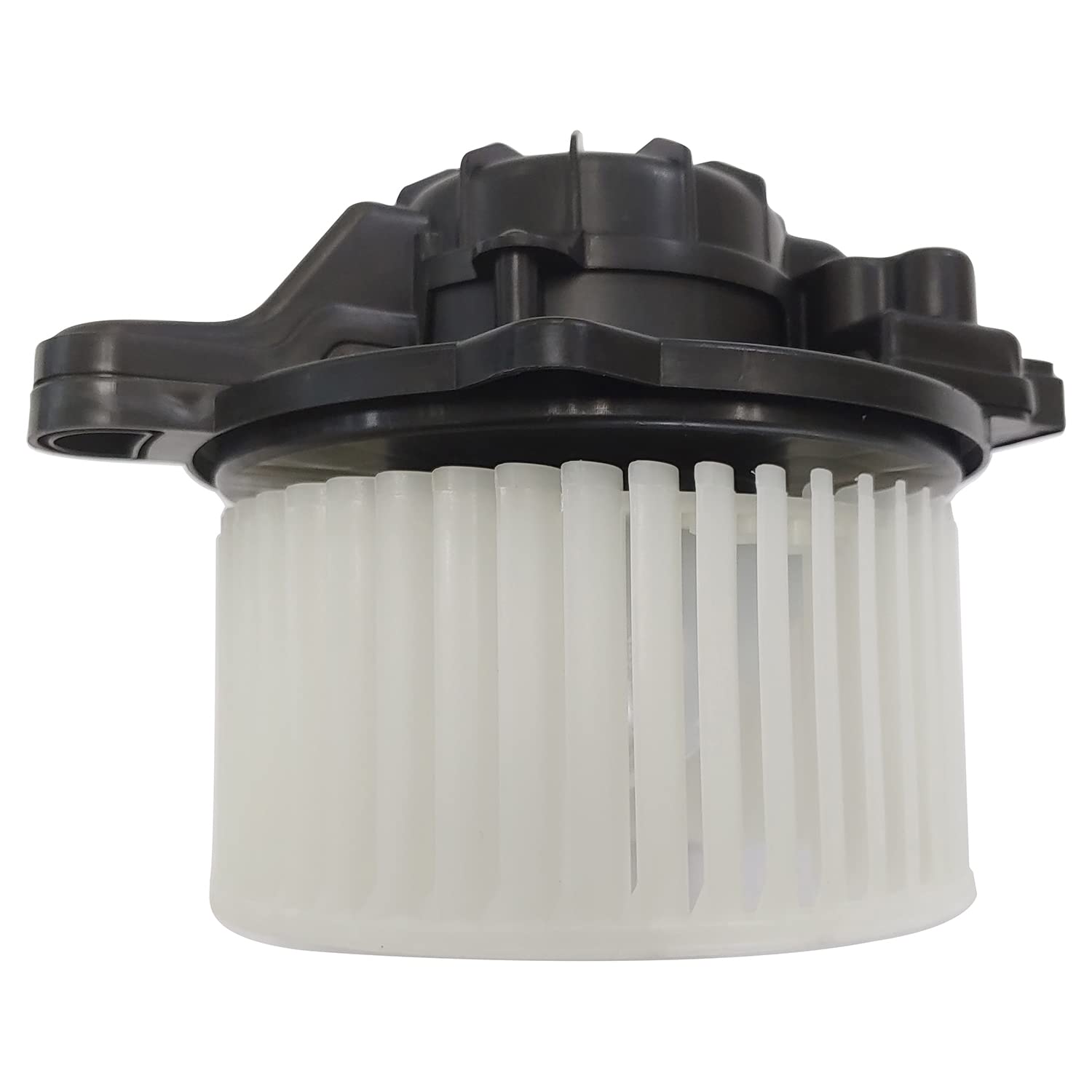 Blower TYC Assembly