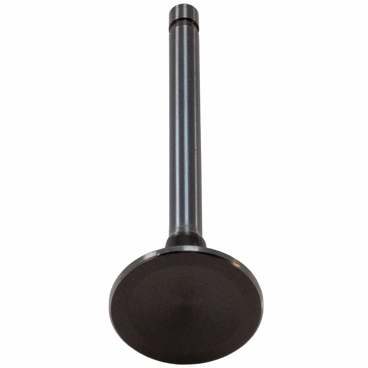 EXHAUST VALVE