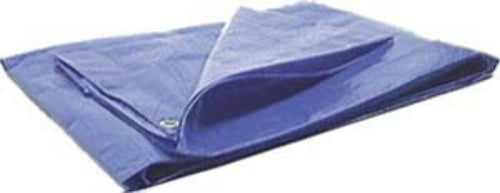 Blue Waterproof Performance Tool W6022 (20 x 30 ft) Tarp Cover Great for Tarpaulin Canopy Tent, Boat, RV Or Pool Cover (Standard Poly Tarp)