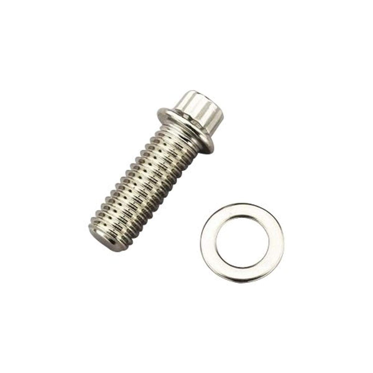 ARP 3/8” 12-Point Polished Stainless Steel Header Bolt, (Set of 12) 400-1203