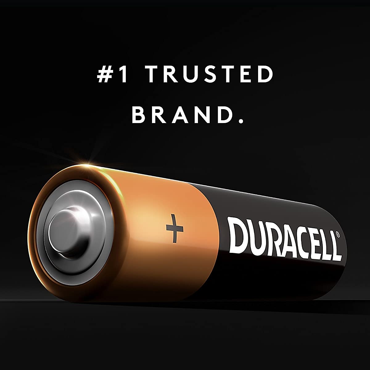 CopperTop Duracell C Alkaline Batteries with recloseable package - long lasting, all-purpose C battery for household and business - Pack of 12