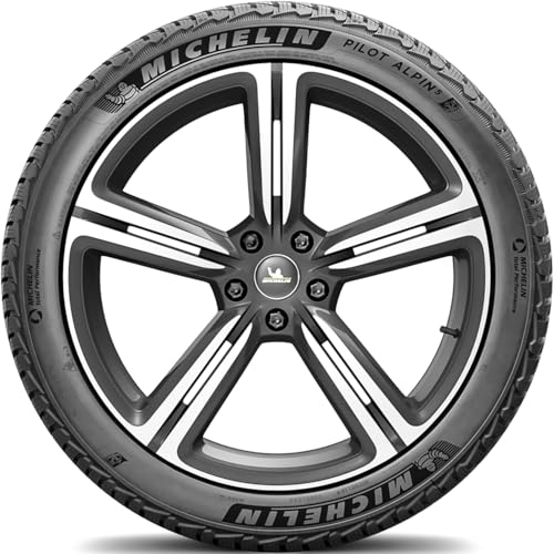 Pilot Alpin 5 MICHELIN all_ Season Radial Tire-265/040R19 102V