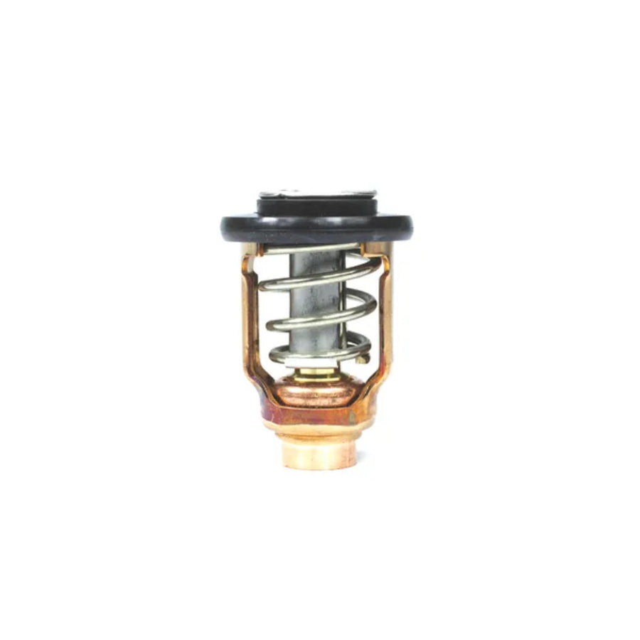 18-3637 Sierra International Thermostat