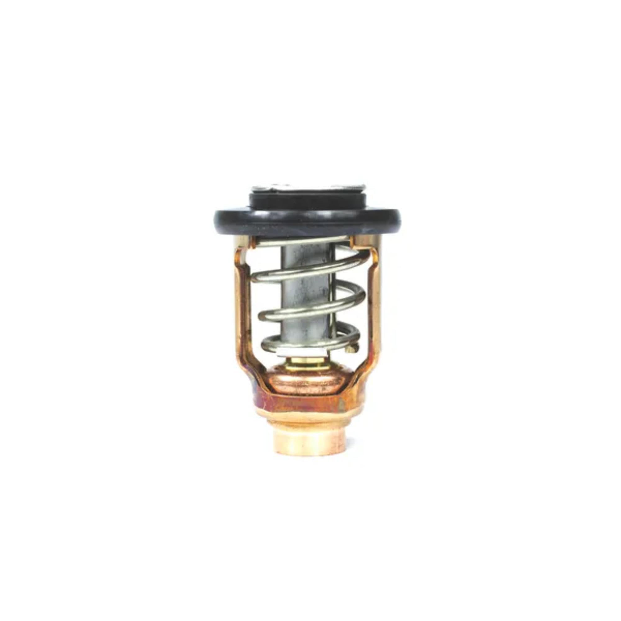 18-3637 Sierra International Thermostat