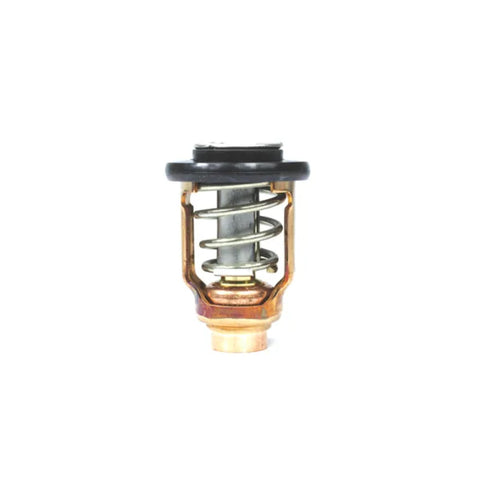 18-3637 Sierra International Thermostat