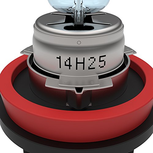 H9 Halogen Bulbs Spec-D