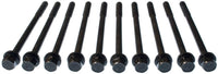 Engine Cylinder Head Bolt Set MAHLE GS33608, 1 Pack
