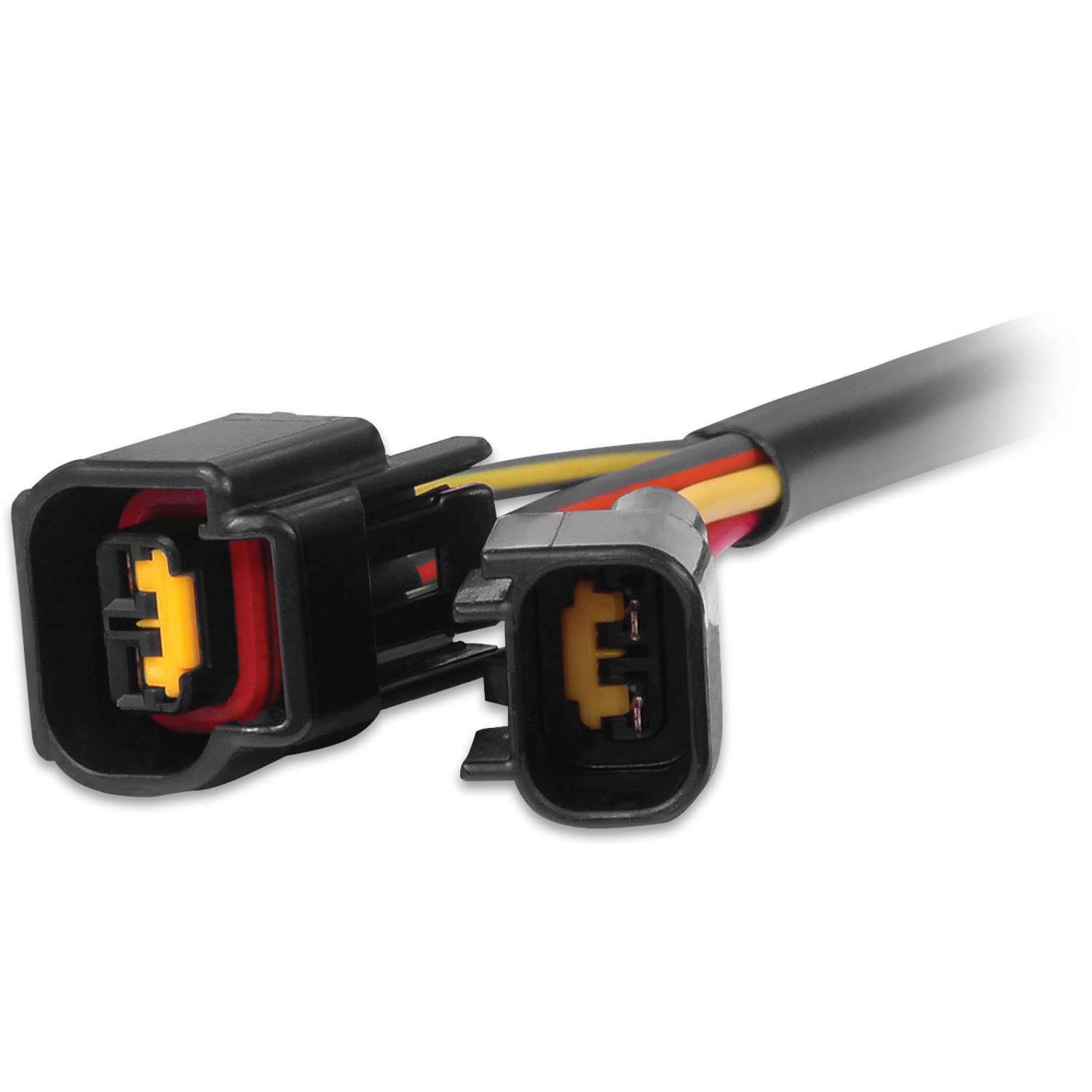 DIS-4 MSD 88813 to 4.6L Modular Harness