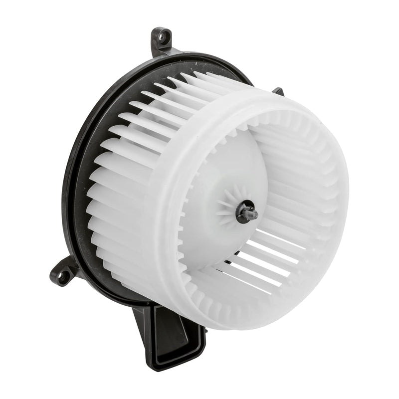 Replacement TYC 700252 Blower Assembly