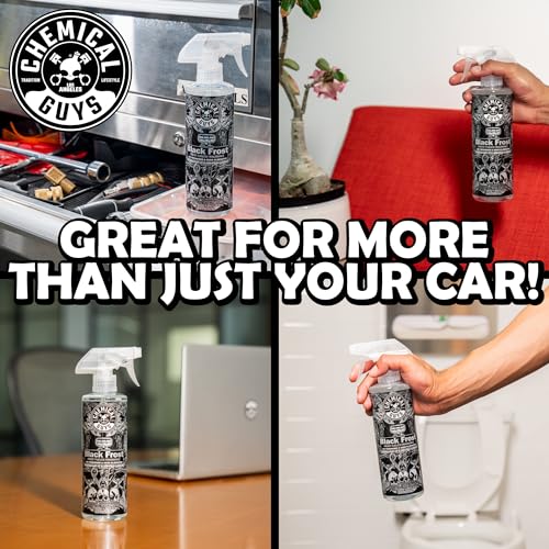 Chemical Guys Air Black Frost Premium Car Air Freshener Spray & Odor Eliminator - Crisp Masculine Scent Spray for Trucks, SUVs, RVs, and Motorcycles - Use in Home, Office, or Garage, 16 oz Bottle