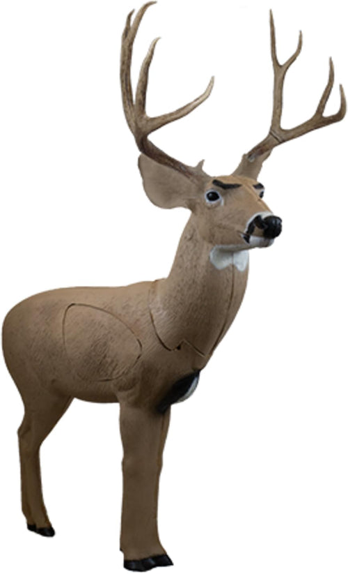 Rinehart 3D Archery Target Signature Mule Deer | Realistic Western Mule Deer with Replaceable Vital Insert | Broadhead & Field Point Compatible | Self-Healing Foam | Made in USA