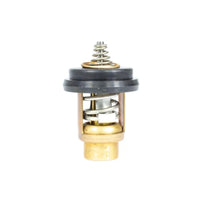 18-3638 Sierra International Thermostat