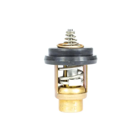 18-3638 Sierra International Thermostat