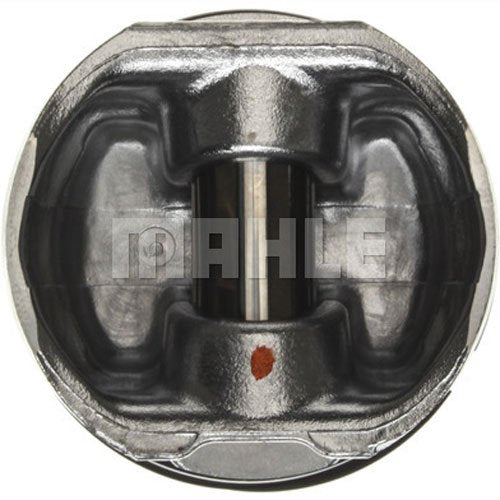 224-3713WR Mahle Piston