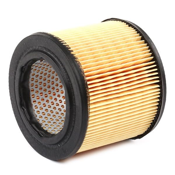 LX 194 Mahle Air Filter, standard
