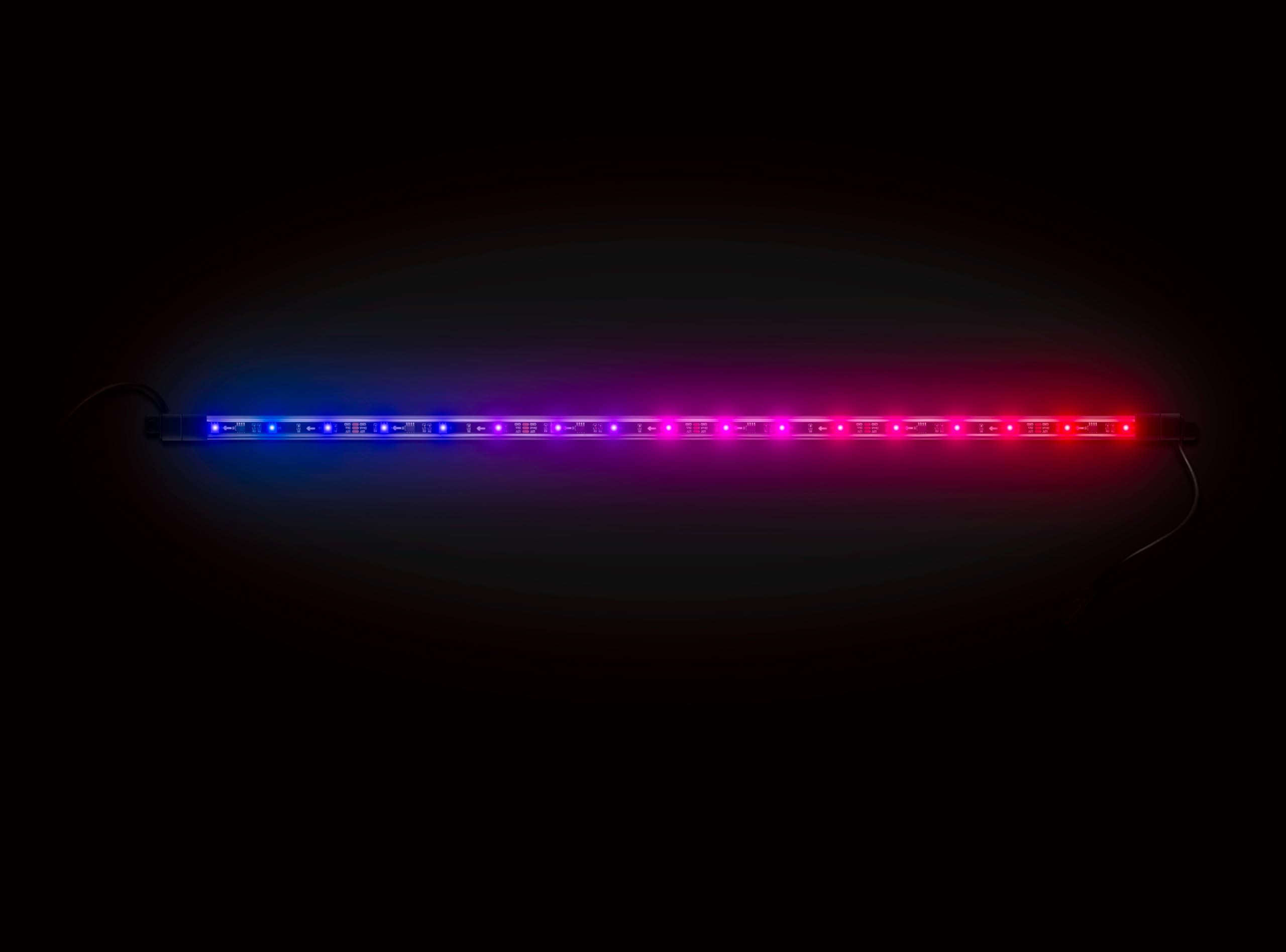 ExtremeStrip by ECOXGEAR SoundExtreme Waterproof Interior Golf Cart Underglows LEDCast Compatible LED Accent Lighting