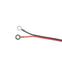 Battery Extender AutoMeter AC-110 Ring Terminal Harness Assembly