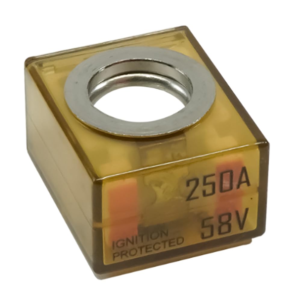 Egis 250 Amp Terminal Fuse - MRBF