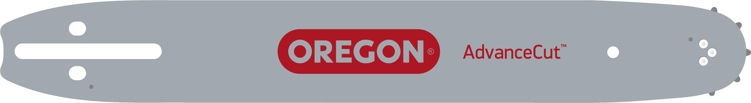 Oregon 12" Guide Bar, AdvanceCut, .050" Gauge, Sprocket-Nose, 3/8" Low Profile Pitch