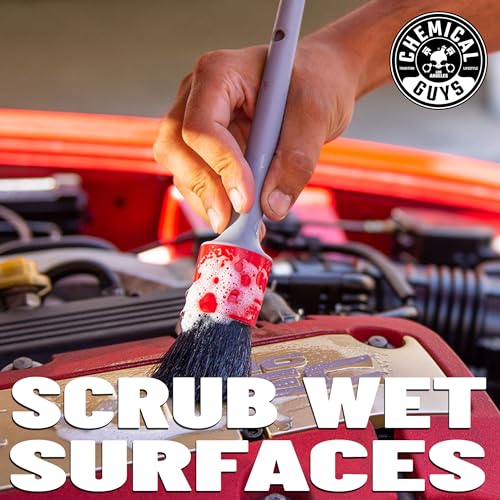 Chemical Guys Exterior Detailing Brushes All in the Details - 3-Piece Soft Scratch-Free Brushes for Wheels, Bumpers, Grilles, Badging & Tight Exterior Gaps on Cars, Trucks, SUVs & More