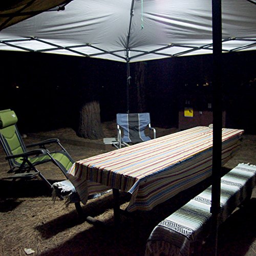 Silver Brite-Saber 81100 Illuminator with Remote