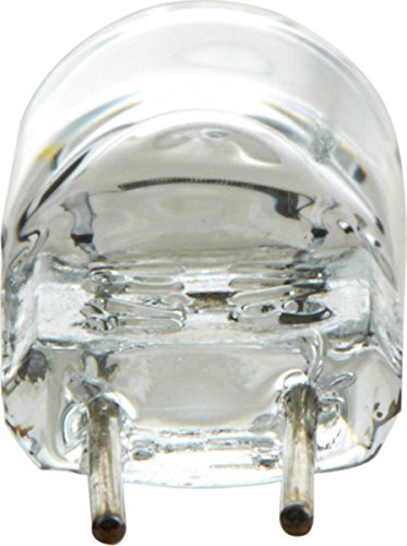 891 Philips Standard Fog Bulb (Pack of 1)