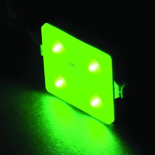 QUAD LED Module Courtesy Lights