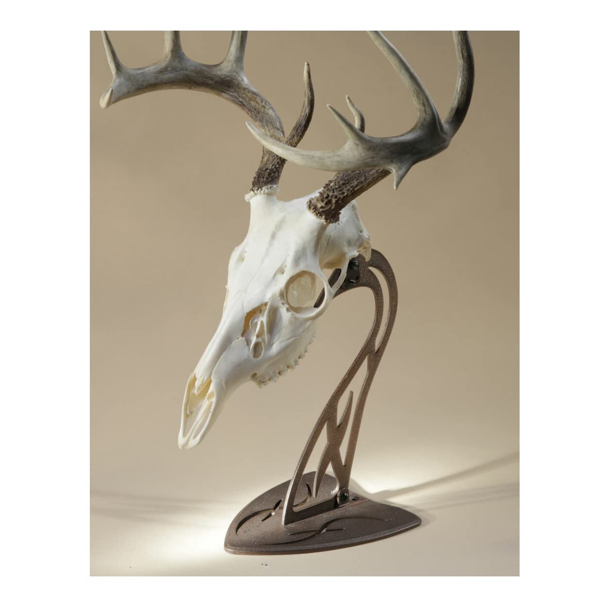 Skull Hooker European Trophy Mount Table Hooker – Perfect Kit for Table Display of Taxidermy Deer Antlers and other Skulls – Robust Brown