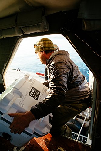 20 Quart Pelican Elite Cooler (Seafoam/Gray)