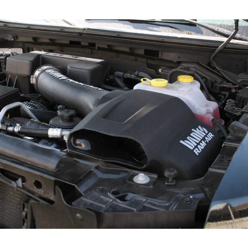 41882-D Banks Air Intake System