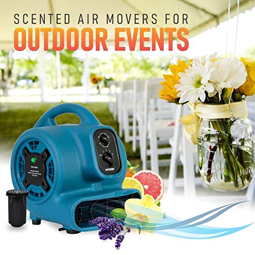 Freshen Aire XPOWER P-260NT 1/4 HP, 925 CFM, 4 Speeds Mini Mighty Scented Air Mover, Utility Fan, Dryer, Blower with Ionizer and Timer, Blue