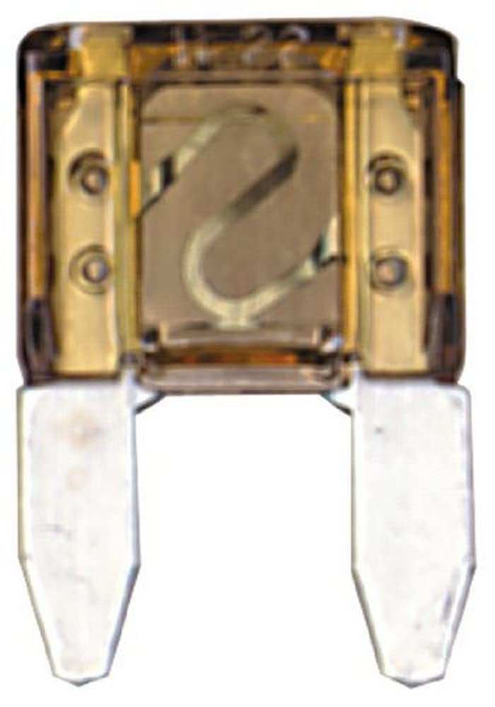 ATM Fuse Sierra International - 30 Amp