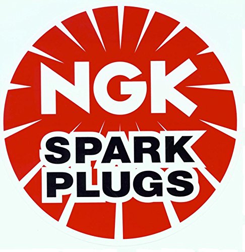Spark Plug NGK 1107