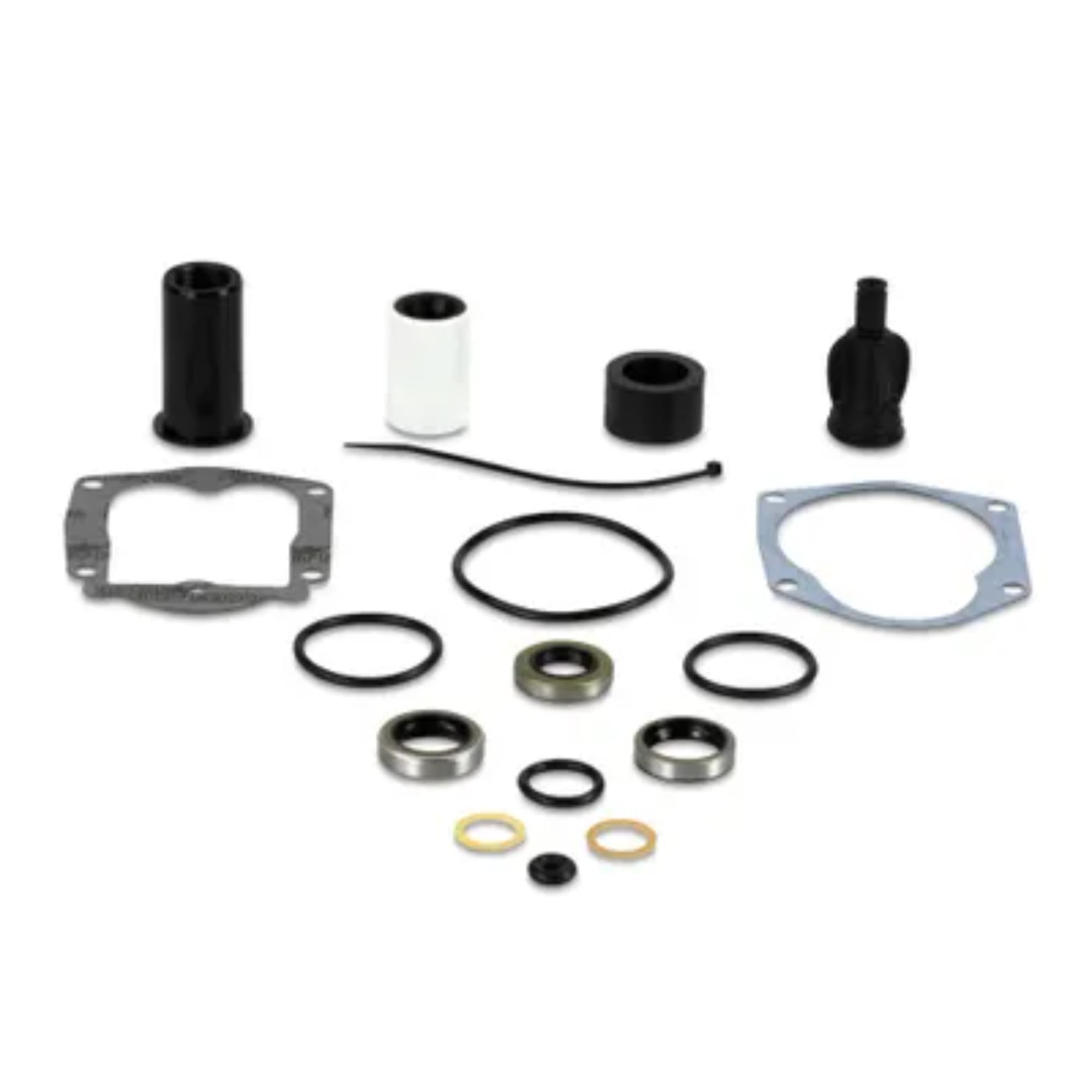Seal Kit, Sierra 18-1699