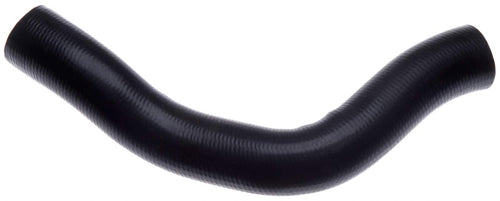 Lower Roadmax C1933 Radiator Hose