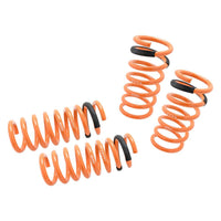 Megan Racing Coilover MR-LS-N3Z Lowering Spring