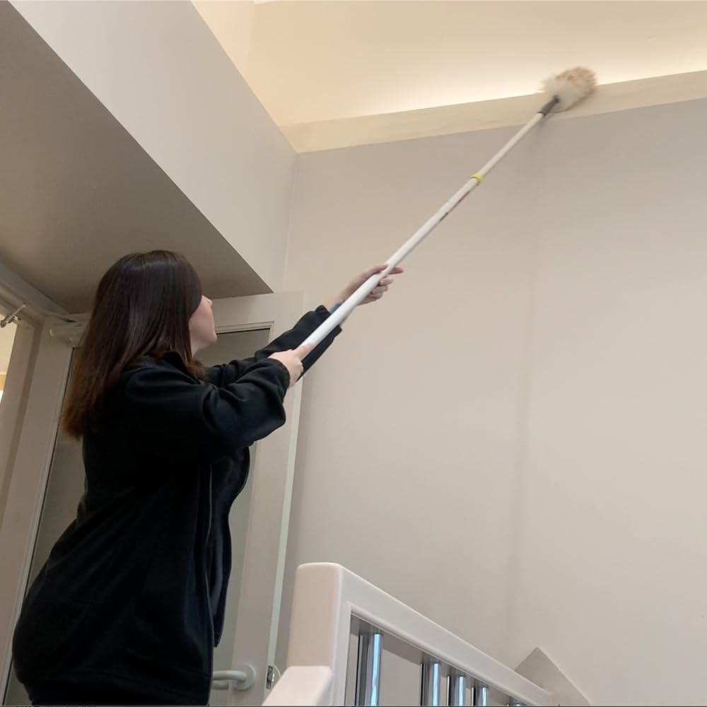 Twist-Lok Mr Longarm Extension Pole 9248