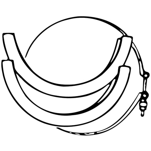 Band and Clamp Kit DOMETIC 385310048 for 140 Series Toilet - Bone