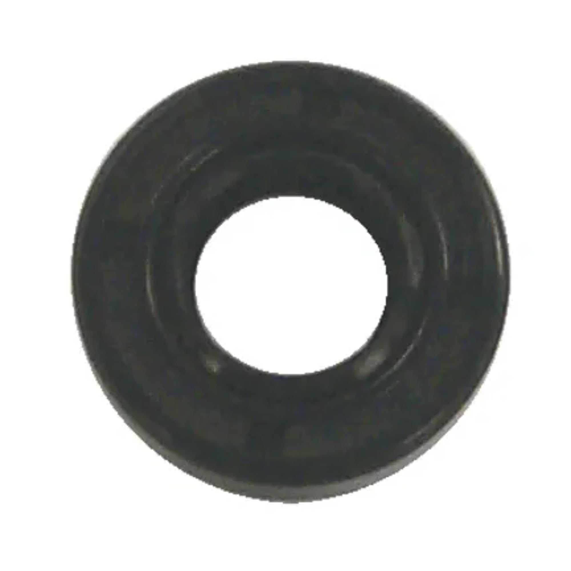 Marine Oil Seal Sierra 18-2010