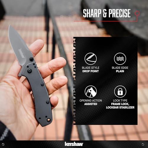 Kershaw Pocket Knife Cryo, Matte Gray Design, 2.75 Inch Stainless Steel Drop Point Blade, EDC with Assisted Opening, 4-Position Clip Carry, Everyday Carry Pocket Knife for Men and Women